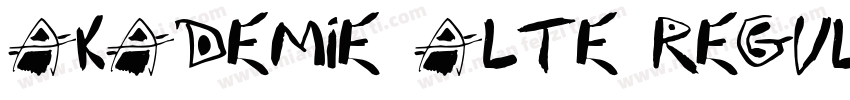 Akademie Alte Regula字体转换